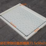 濟青圓點帶鐵標(biāo)蓋板模具